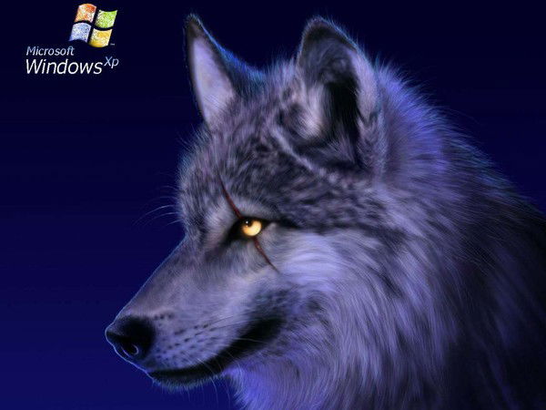 Влад Начевский