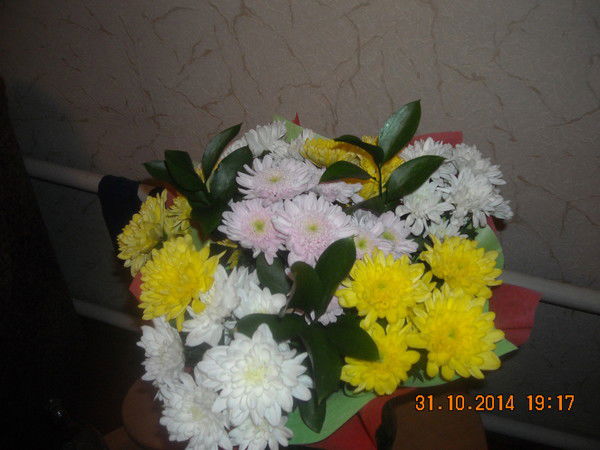 Лена Кузина