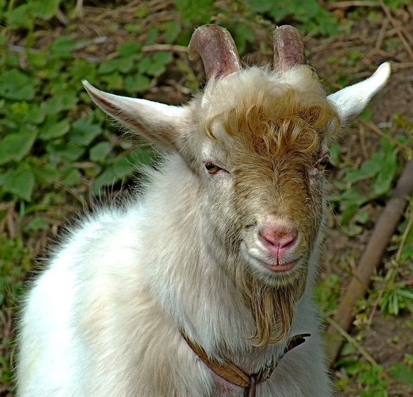 Любовь Бирюкова