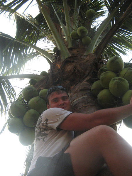 Павел Гачегов