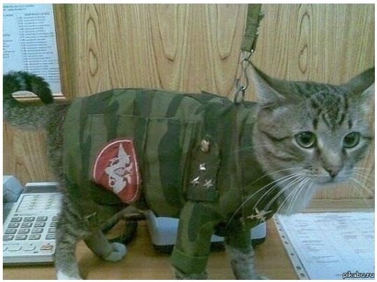 Андрей Арвендейл