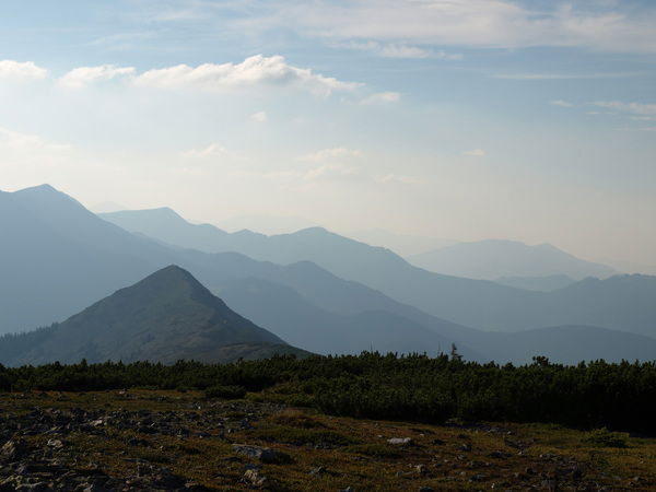 Татьяна Михайлова