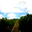 Село Черкасск Сарканский Район