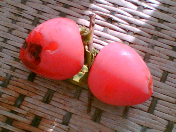 Владимир Власов