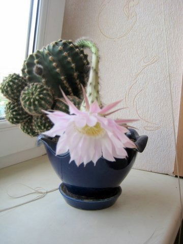 Татьяна Мироненко