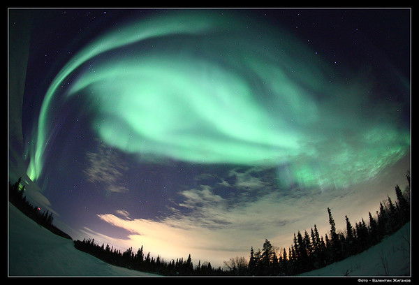 Марина Коралик