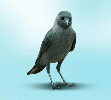 Алексей Галкин