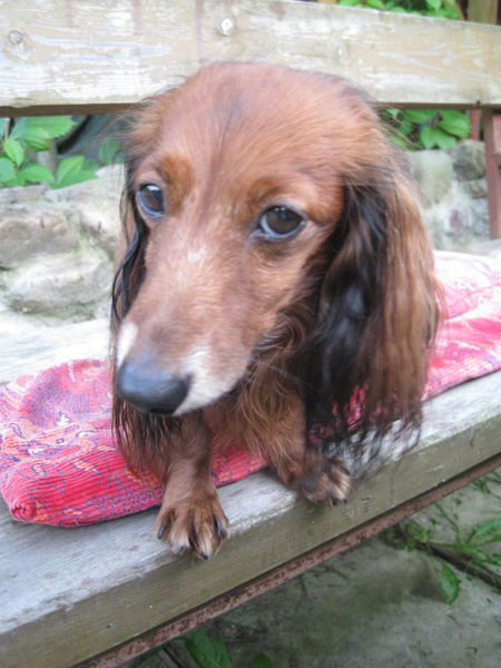 Вера Розанова