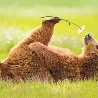 Александр Слободчиков