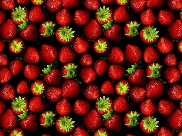 Виктория Палкина