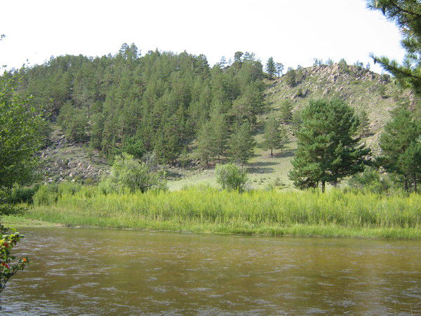 Юрий Нестин