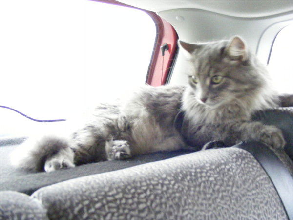 Ольга Москалева