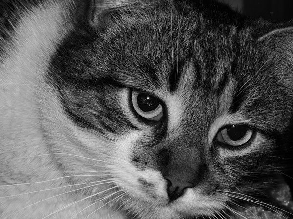 Татьяна Неизвестно