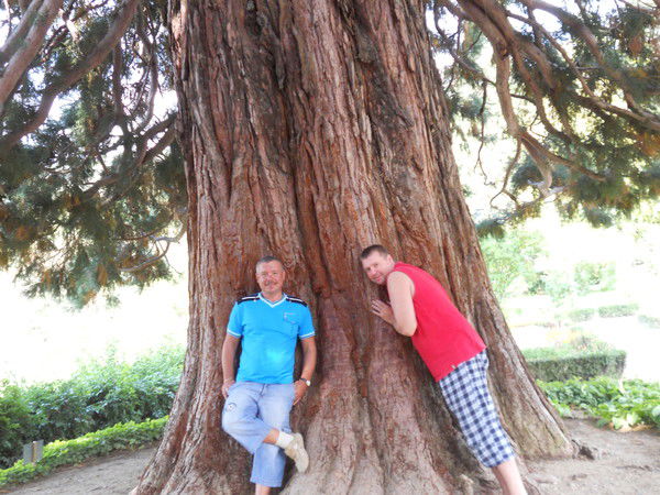 Елена Ремденок