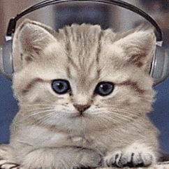 Елена Лыхина