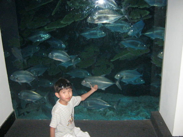 Алан Рыспеков