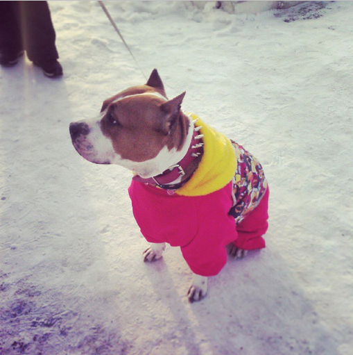 Татьяна Агеенко