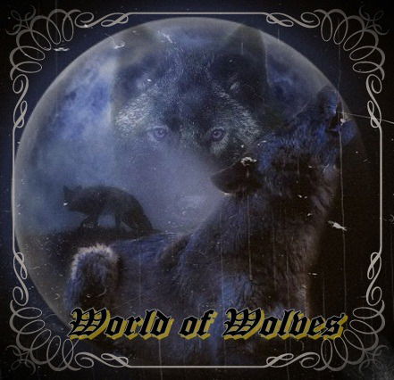 Александр Одиноков