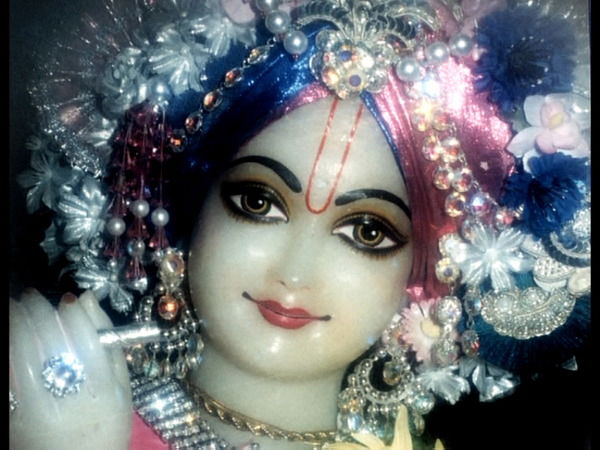 Ольга Прохорова