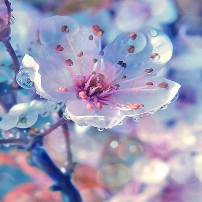 Таня Гонина