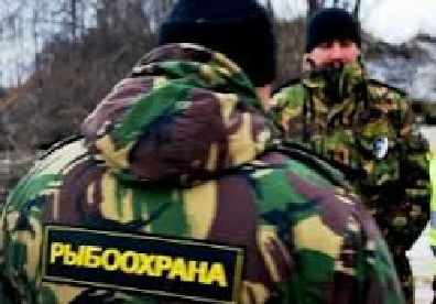 Андрей Макаревич