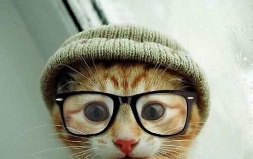 Марат Сабиталиев