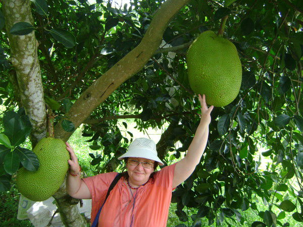 Елена Полищук