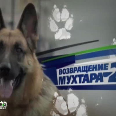 Даниил Волохов