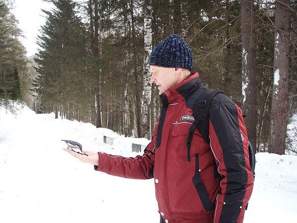 Юрий Колдырев