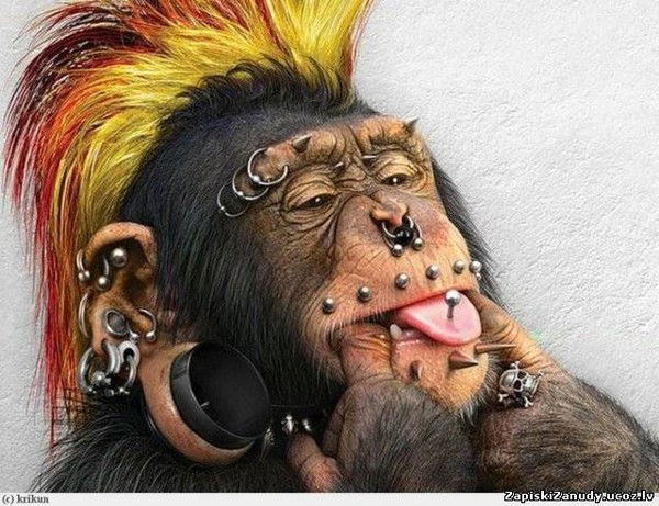 Виктория ************