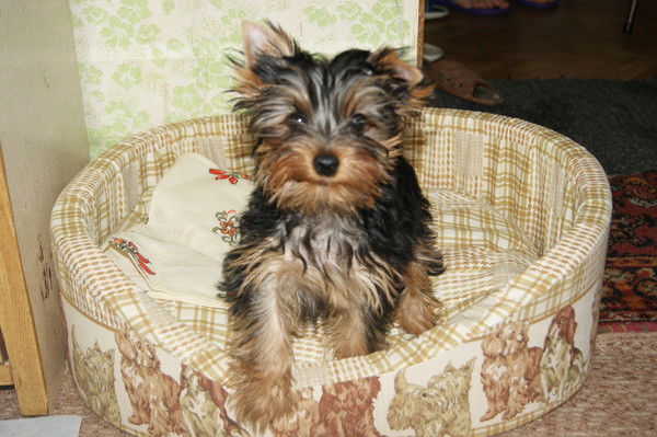 Гузель Булюкина