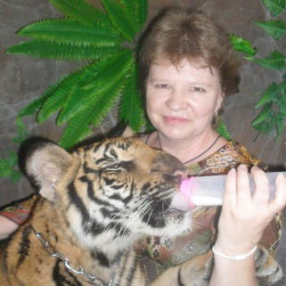 Елена Шумарина