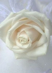 Женечка Ленц