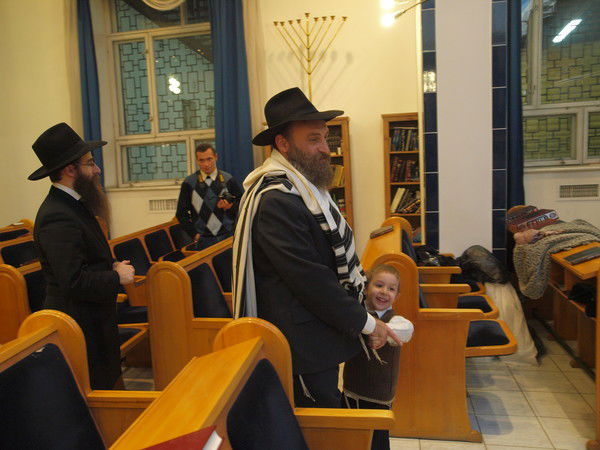 Олень Лесной