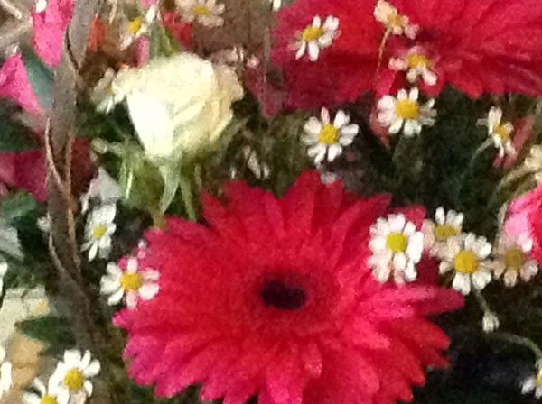 Татьяна Роденко