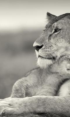 Павел Горбачев