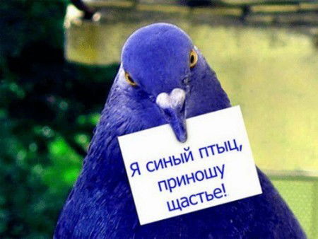 жизнь в городах приучает смотреть разве что себе под ноги. Смотреть фото жизнь в городах приучает смотреть разве что себе под ноги. Смотреть картинку жизнь в городах приучает смотреть разве что себе под ноги. Картинка про жизнь в городах приучает смотреть разве что себе под ноги. Фото жизнь в городах приучает смотреть разве что себе под ноги