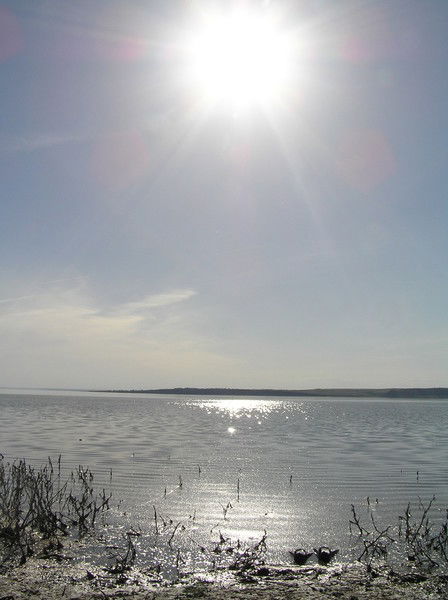 Василий Климов