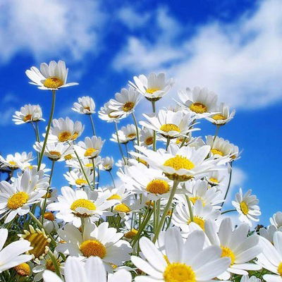 Мария Буянкина