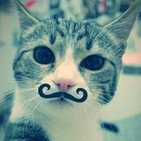 Аня Малькова