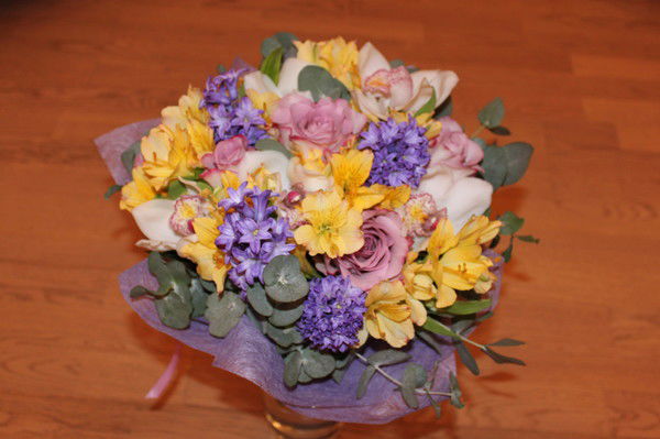 Катрин Катрин