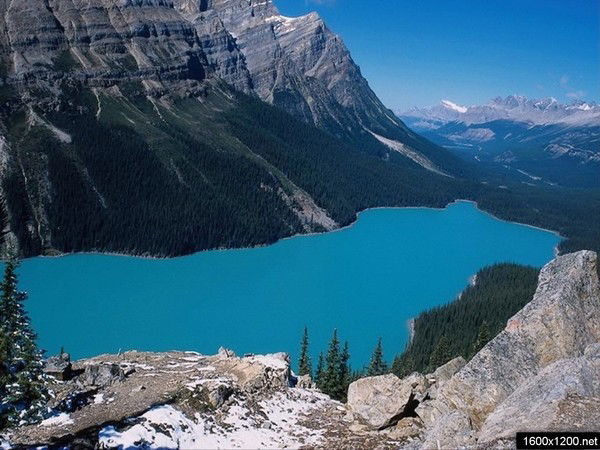 Яна Соколова