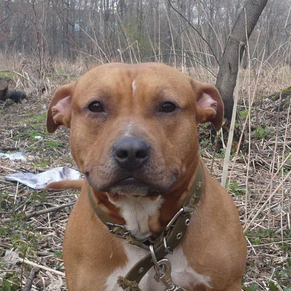 Влад Макаров