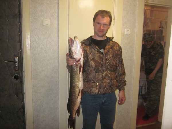 Сергей Кибардин