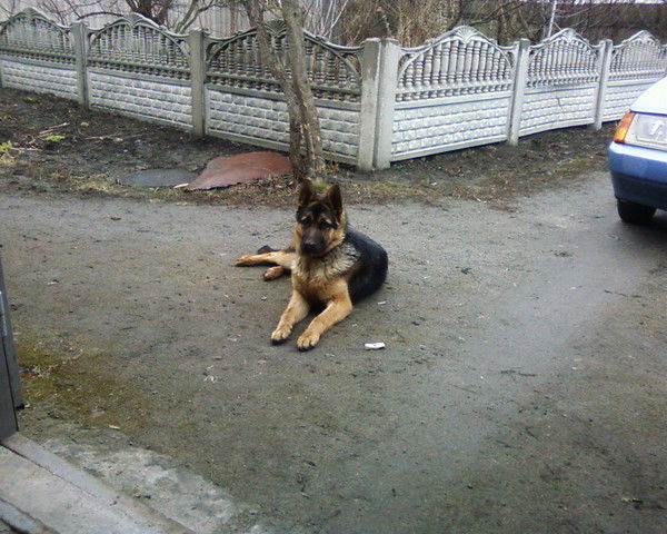 Виктория Луценко