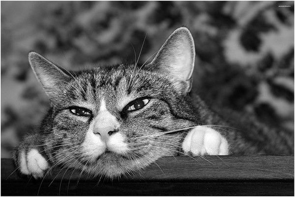 Г-Н Кудрин Алексей