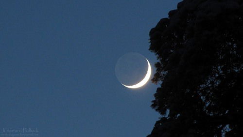 Людмила Глаголева