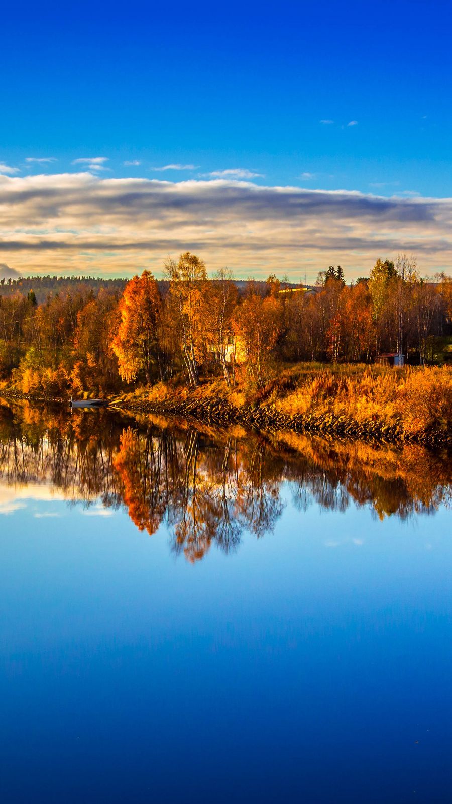 Николай Мартынов