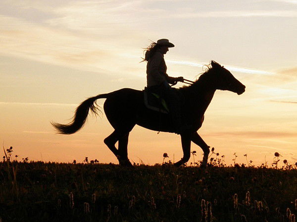 Наталья Колыханова