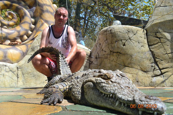 Михаил Соколов